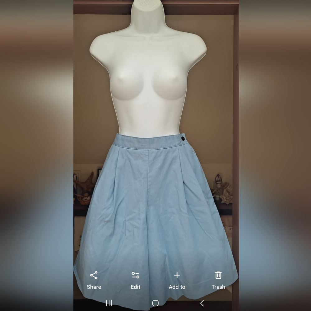 VINTAGE SUBURBANS Blue Pleated Shorts Cottagecore Flare Skort